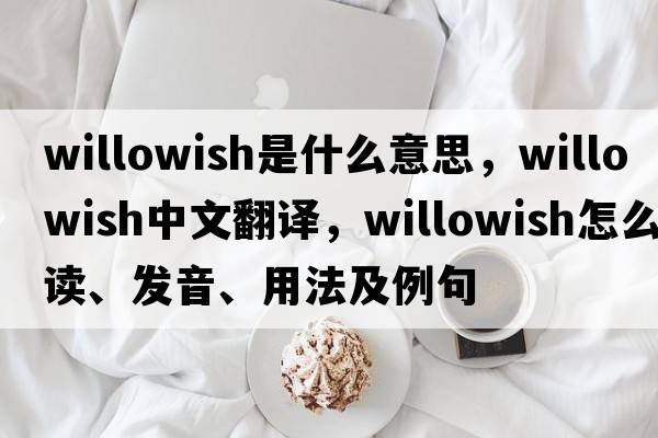 willowish是什么意思，willowish中文翻譯，willowish怎么讀、發(fā)音、用法及例句
