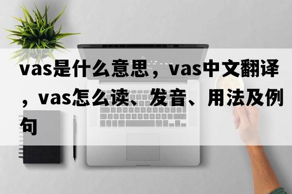 vas是什么意思，vas中文翻譯，vas怎么讀、發(fā)音、用法及例句