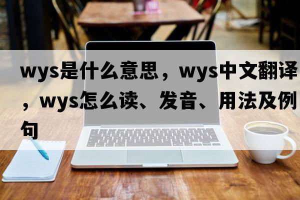 WYS是什么意思，WYS中文翻譯，WYS怎么讀、發(fā)音、用法及例句