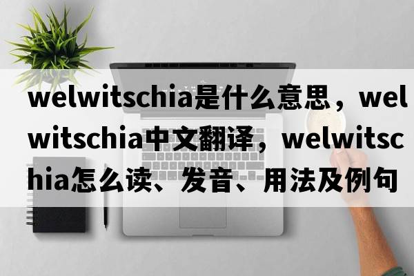 welwitschia是什么意思，welwitschia中文翻譯，welwitschia怎么讀、發(fā)音、用法及例句