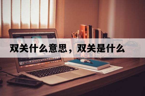 雙關(guān)什么意思，雙關(guān)是什么