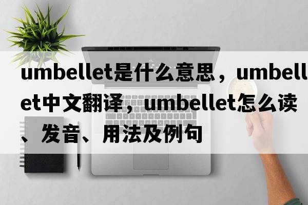 umbellet是什么意思，umbellet中文翻譯，umbellet怎么讀、發(fā)音、用法及例句