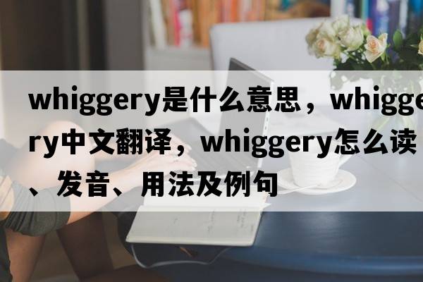 Whiggery是什么意思，Whiggery中文翻譯，Whiggery怎么讀、發(fā)音、用法及例句