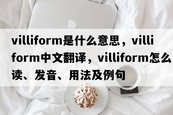 villiform是什么意思，villiform中文翻譯，villiform怎么讀、發(fā)音、用法及例句