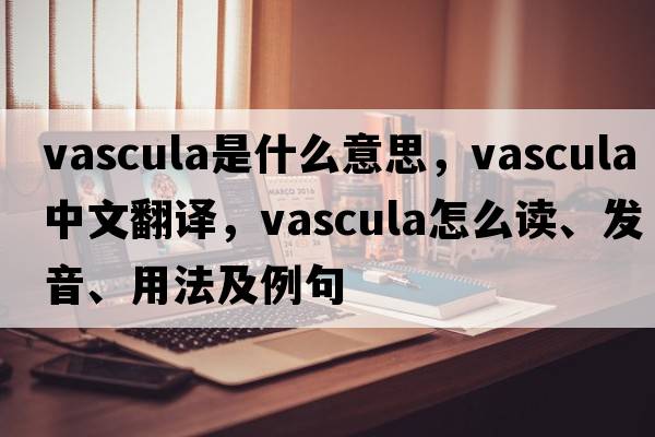 vascula是什么意思，vascula中文翻譯，vascula怎么讀、發(fā)音、用法及例句
