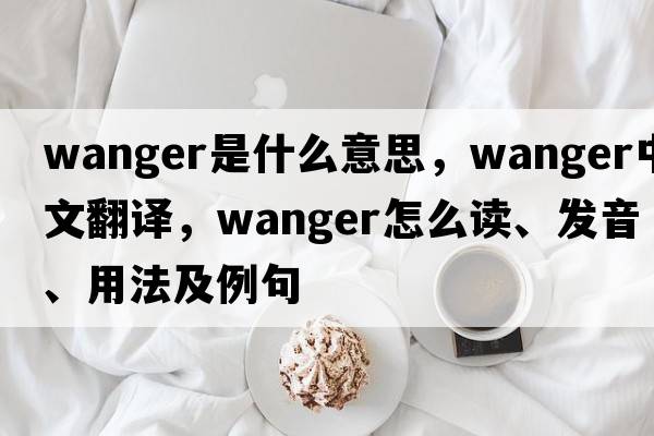 Wanger是什么意思，Wanger中文翻譯，Wanger怎么讀、發(fā)音、用法及例句