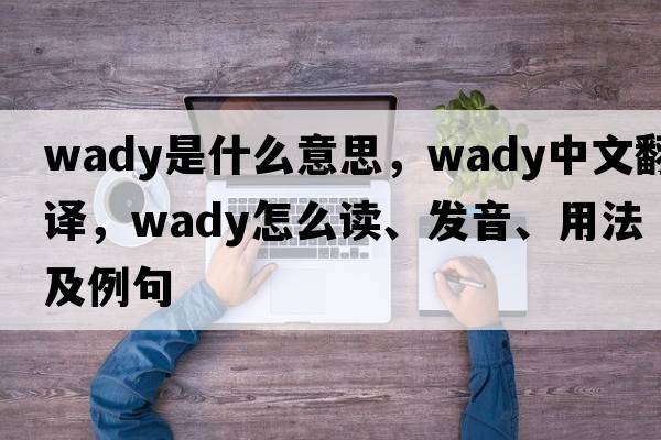 wady是什么意思，wady中文翻譯，wady怎么讀、發(fā)音、用法及例句
