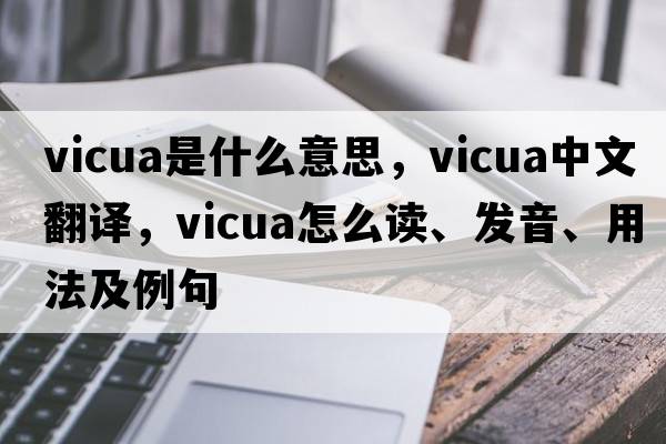 vicua是什么意思，vicua中文翻譯，vicua怎么讀、發(fā)音、用法及例句