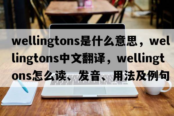 wellingtons是什么意思，wellingtons中文翻譯，wellingtons怎么讀、發(fā)音、用法及例句