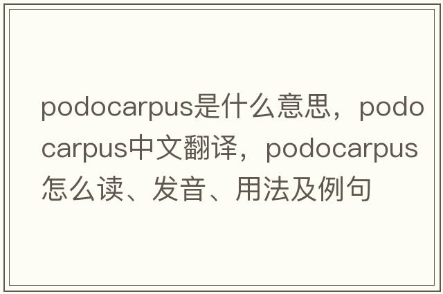 podocarpus是什么意思，podocarpus中文翻譯，podocarpus怎么讀、發(fā)音、用法及例句
