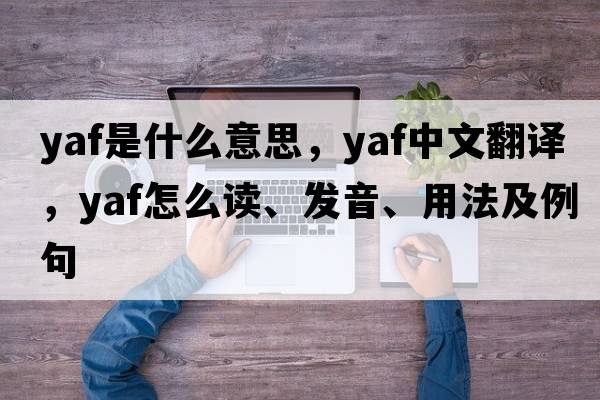 YAF是什么意思，YAF中文翻譯，YAF怎么讀、發(fā)音、用法及例句