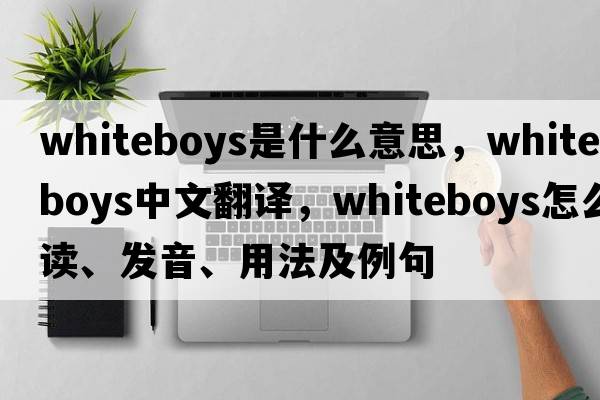 Whiteboys是什么意思，Whiteboys中文翻譯，Whiteboys怎么讀、發(fā)音、用法及例句
