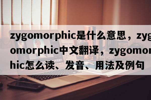 zygomorphic是什么意思，zygomorphic中文翻譯，zygomorphic怎么讀、發(fā)音、用法及例句