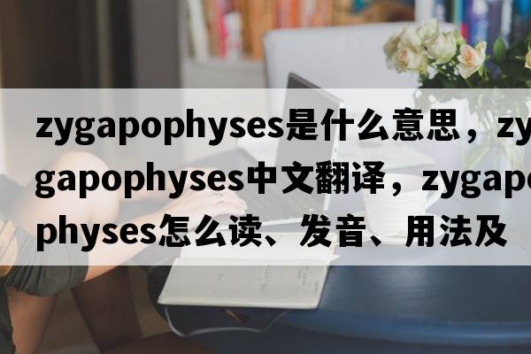 zygapophyses是什么意思，zygapophyses中文翻譯，zygapophyses怎么讀、發(fā)音、用法及例句