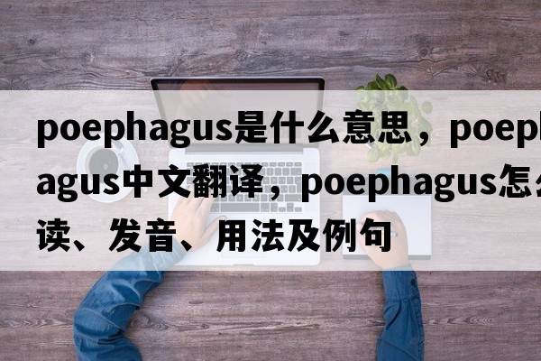Poephagus是什么意思，Poephagus中文翻譯，Poephagus怎么讀、發(fā)音、用法及例句