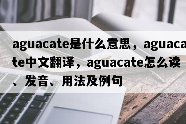 aguacate是什么意思，aguacate中文翻譯，aguacate怎么讀、發(fā)音、用法及例句