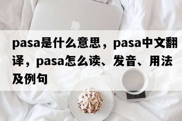 pasa是什么意思，pasa中文翻譯，pasa怎么讀、發(fā)音、用法及例句