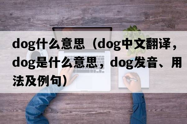 dog什么意思（dog中文翻譯，dog是什么意思，dog發(fā)音、用法及例句）