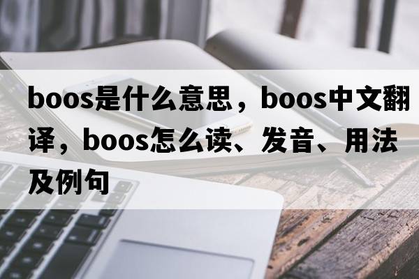 boos是什么意思，boos中文翻譯，boos怎么讀、發(fā)音、用法及例句