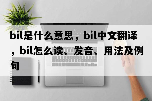 bil是什么意思，bil中文翻譯，bil怎么讀、發(fā)音、用法及例句