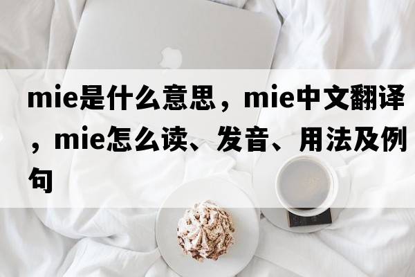 mie是什么意思，mie中文翻譯，mie怎么讀、發(fā)音、用法及例句