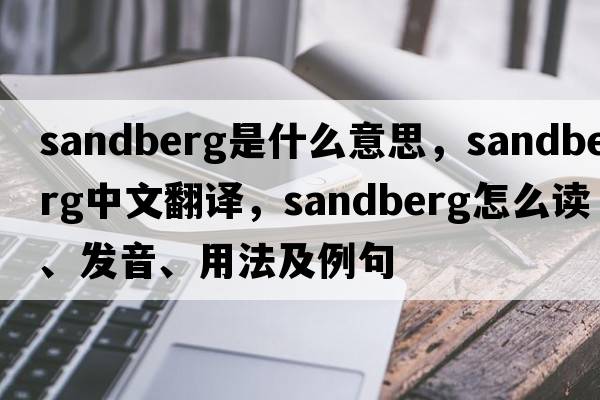 Sandberg是什么意思，Sandberg中文翻譯，Sandberg怎么讀、發(fā)音、用法及例句