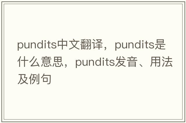 pundits中文翻譯，pundits是什么意思，pundits發(fā)音、用法及例句