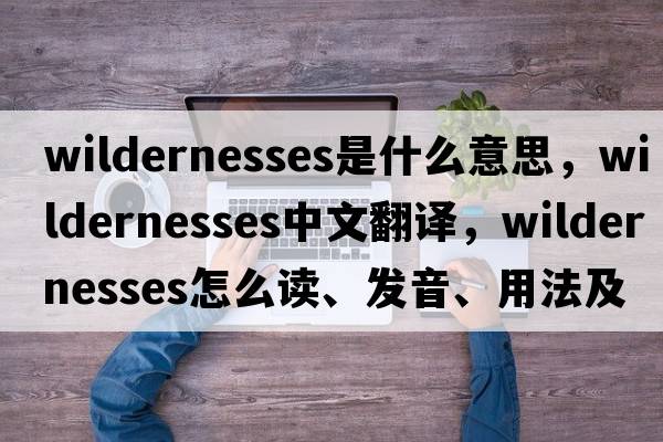 wildernesses是什么意思，wildernesses中文翻譯，wildernesses怎么讀、發(fā)音、用法及例句