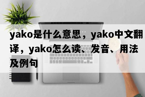 Yako是什么意思，Yako中文翻譯，Yako怎么讀、發(fā)音、用法及例句