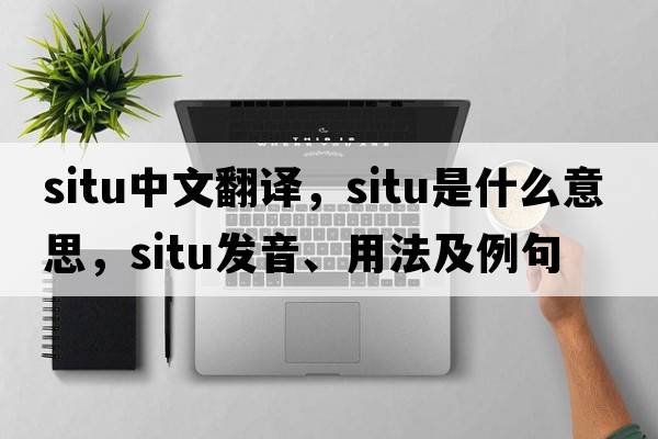 situ中文翻譯，situ是什么意思，situ發(fā)音、用法及例句