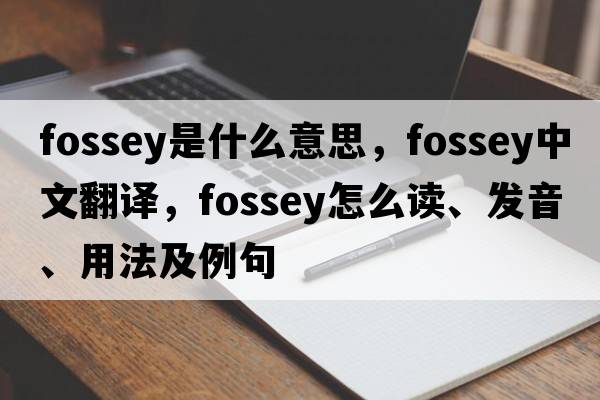 Fossey是什么意思，F(xiàn)ossey中文翻譯，F(xiàn)ossey怎么讀、發(fā)音、用法及例句