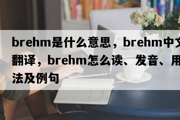 Brehm是什么意思，Brehm中文翻譯，Brehm怎么讀、發(fā)音、用法及例句