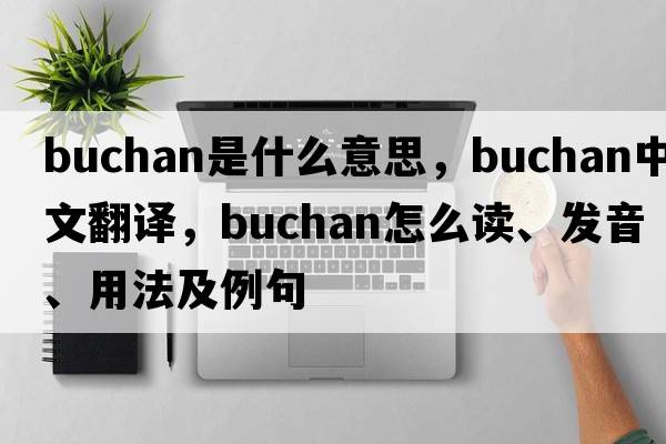 Buchan是什么意思，Buchan中文翻譯，Buchan怎么讀、發(fā)音、用法及例句