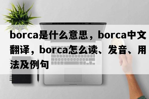 Borca是什么意思，Borca中文翻譯，Borca怎么讀、發(fā)音、用法及例句