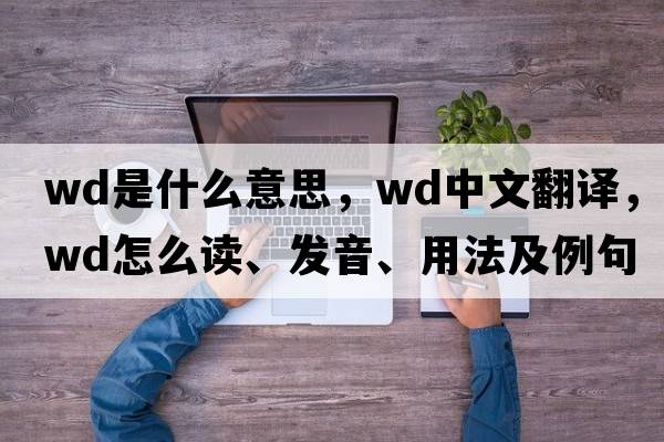 wd是什么意思，wd中文翻譯，wd怎么讀、發(fā)音、用法及例句