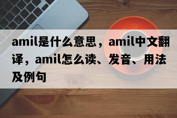 amil是什么意思，amil中文翻譯，amil怎么讀、發(fā)音、用法及例句