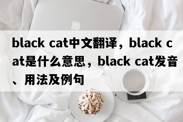 black cat中文翻譯，black cat是什么意思，black cat發(fā)音、用法及例句