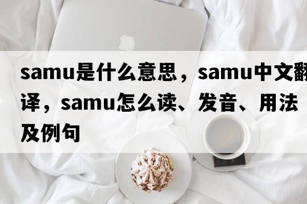 SAMU是什么意思，SAMU中文翻譯，SAMU怎么讀、發(fā)音、用法及例句