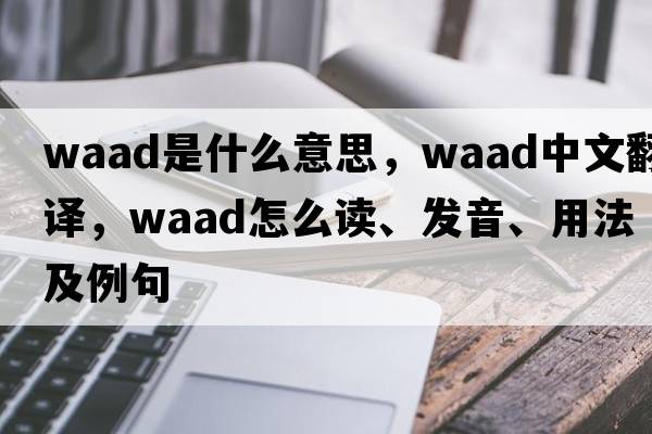 Waad是什么意思，Waad中文翻譯，Waad怎么讀、發(fā)音、用法及例句