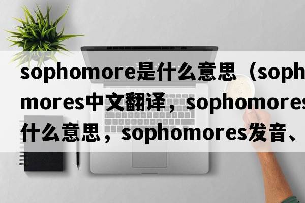 sophomore是什么意思（sophomores中文翻譯，sophomores是什么意思，sophomores發(fā)音、用法及例句）