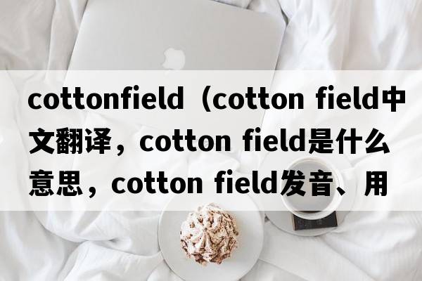 cottonfield（cotton field中文翻譯，cotton field是什么意思，cotton field發(fā)音、用法及例句）