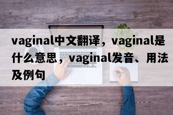 vaginal中文翻譯，vaginal是什么意思，vaginal發(fā)音、用法及例句