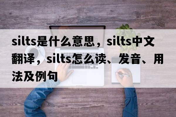 silts是什么意思，silts中文翻譯，silts怎么讀、發(fā)音、用法及例句