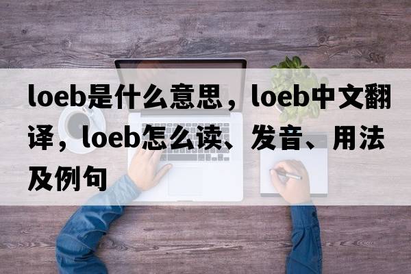 Loeb是什么意思，Loeb中文翻譯，Loeb怎么讀、發(fā)音、用法及例句