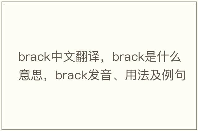 brack中文翻譯，brack是什么意思，brack發(fā)音、用法及例句