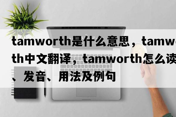 Tamworth是什么意思，Tamworth中文翻譯，Tamworth怎么讀、發(fā)音、用法及例句