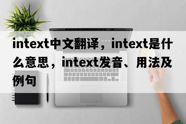 INTEXT中文翻譯，INTEXT是什么意思，INTEXT發(fā)音、用法及例句
