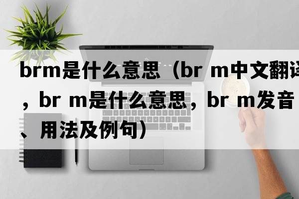 brm是什么意思（br m中文翻譯，br m是什么意思，br m發(fā)音、用法及例句）