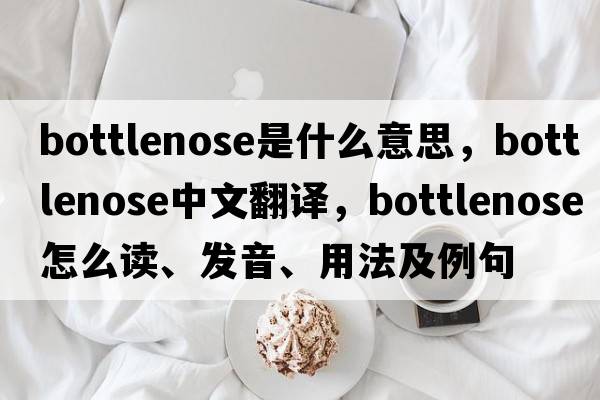 bottlenose是什么意思，bottlenose中文翻譯，bottlenose怎么讀、發(fā)音、用法及例句