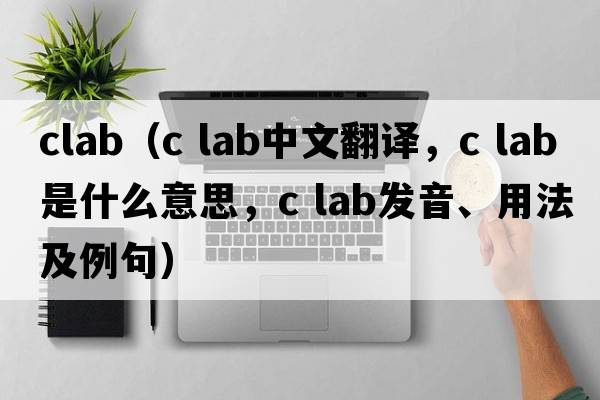 clab（c lab中文翻譯，c lab是什么意思，c lab發(fā)音、用法及例句）